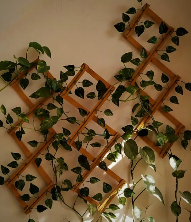 Wooden wall hanging with leaves Foldable Wall hanging with Money Plant Leaves